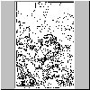 bd304.gif